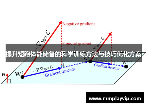 提升短跑体能储备的科学训练方法与技巧优化方案